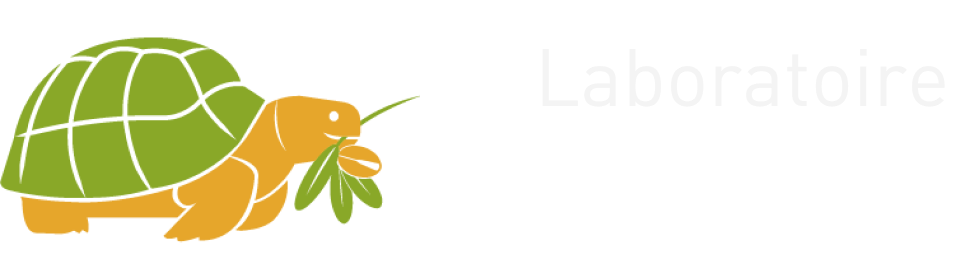 Tadusi